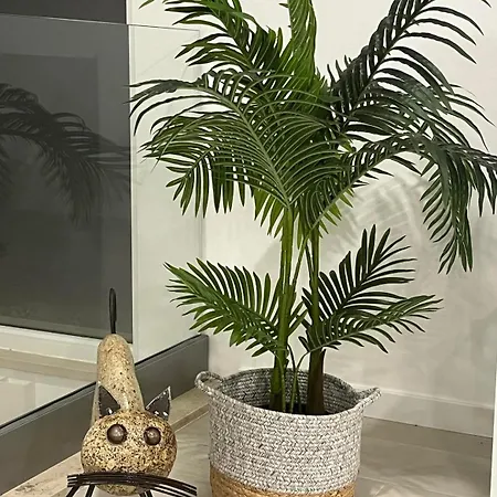 Queen - - Lourinha Villa *